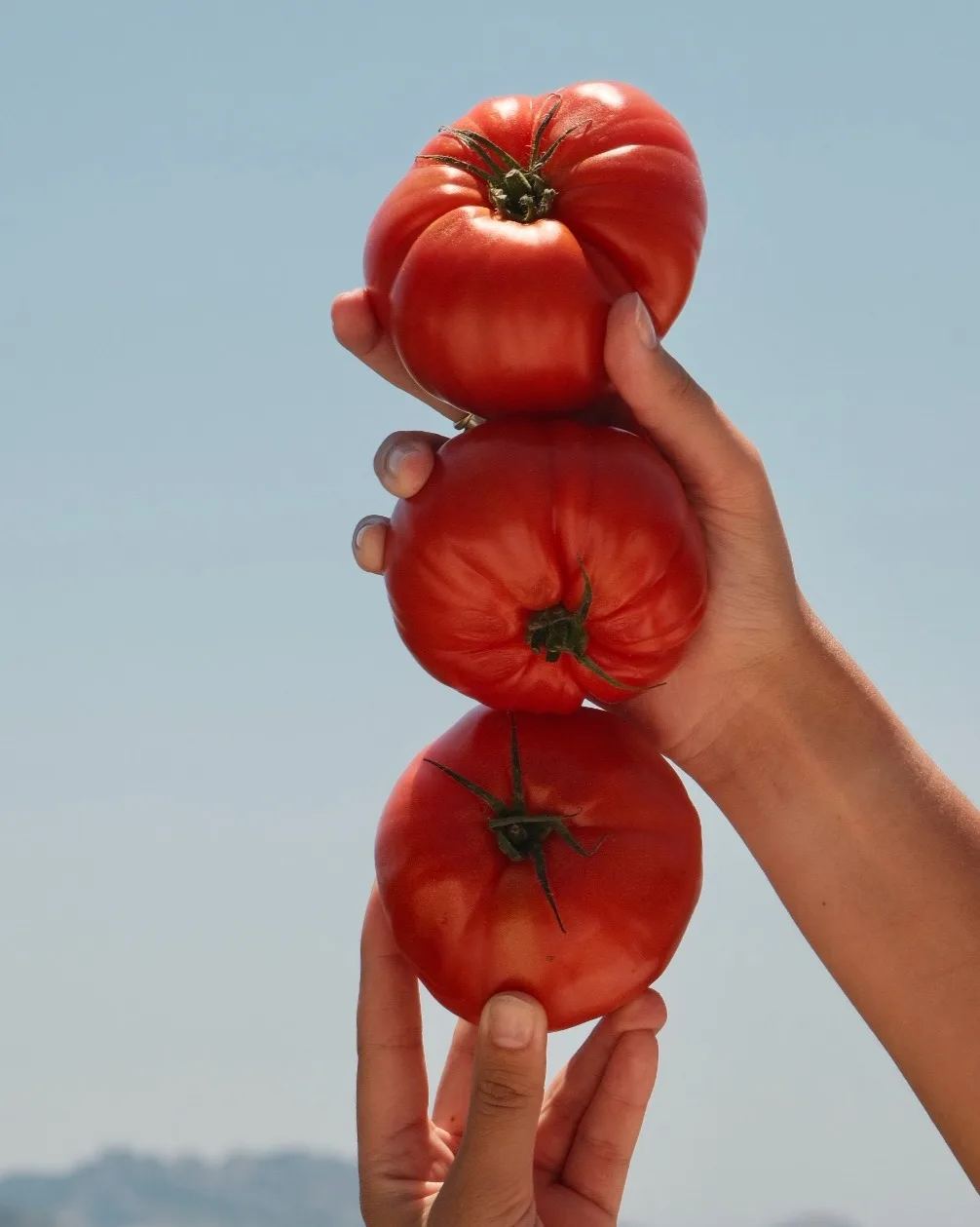 Composing a Private Chef Menu Season by Season
