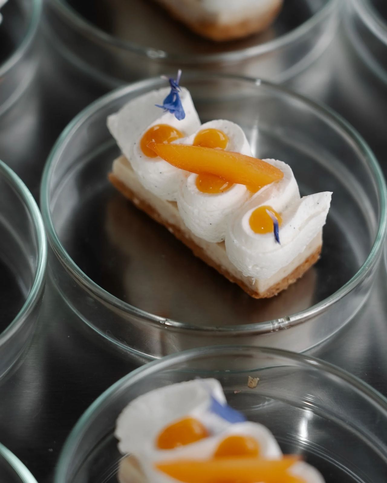 ArtxFood 6