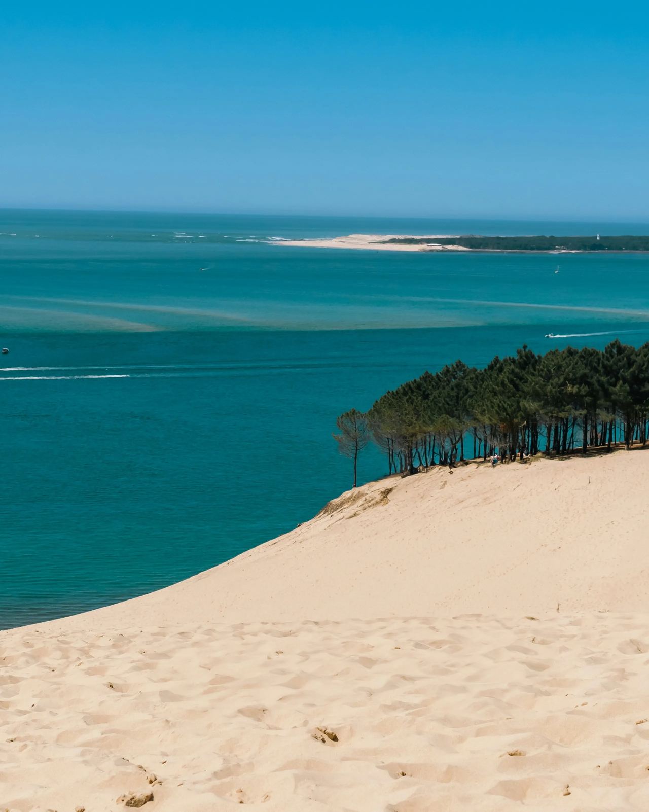 Chef privé au Cap Ferret