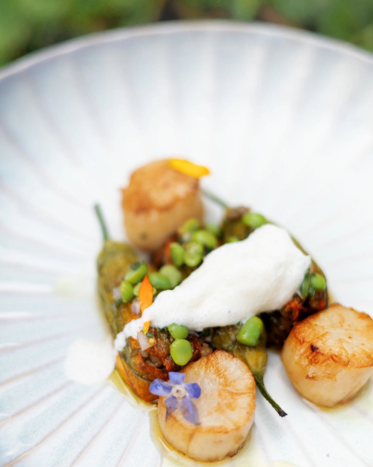 Chef privé dans les Pouilles
