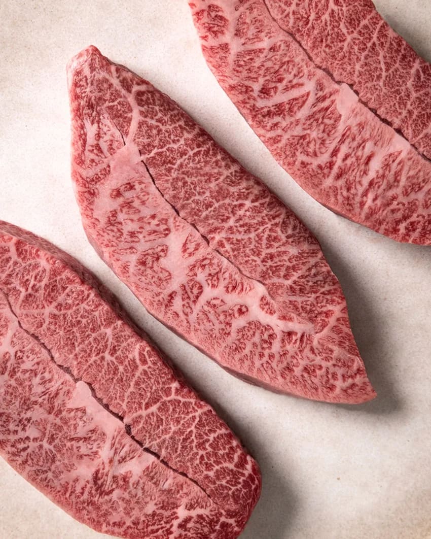 ArtxFood 5